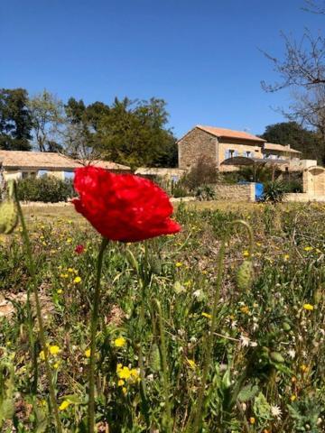 Mas De Costebelle Bed & Breakfast Bollene Exterior photo